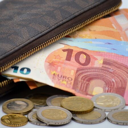 Portemonnaie mit Geldscheinen und Münzen Portemonnaie mit Geldscheinen und Münzen